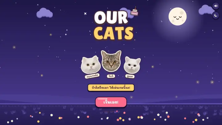 Cat Treat Catch